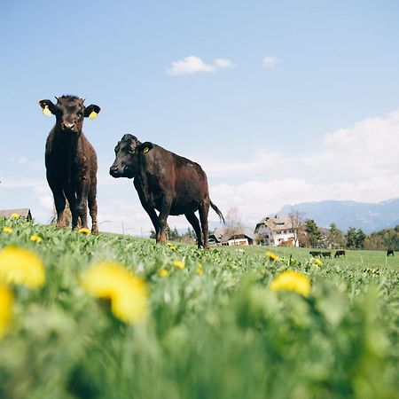 Alpin Farm Linde - Oberweidacherhof Collalbo Εξωτερικό φωτογραφία