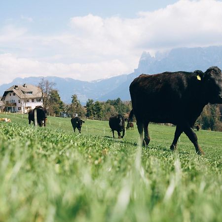Alpin Farm Linde - Oberweidacherhof Collalbo Εξωτερικό φωτογραφία