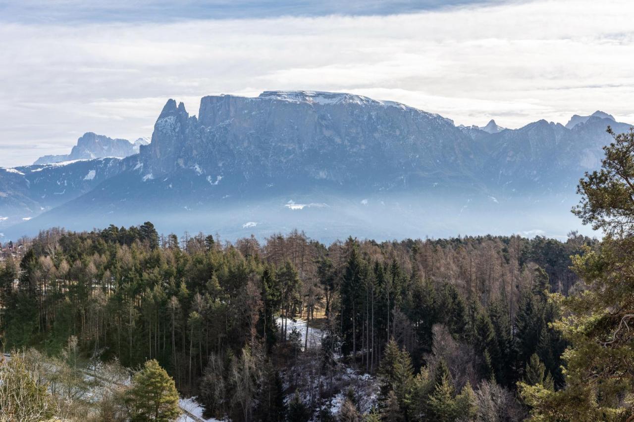 Alpin Farm Linde - Oberweidacherhof Collalbo Εξωτερικό φωτογραφία
